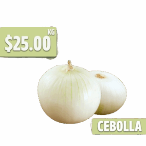 cebolla-pitico-removebg-preview
