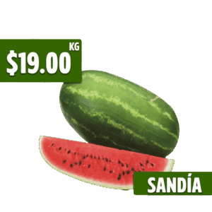 sandia-pitico-removebg-preview (1)